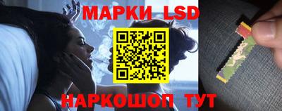 тгк Долгопрудный