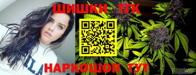 тгк Долгопрудный