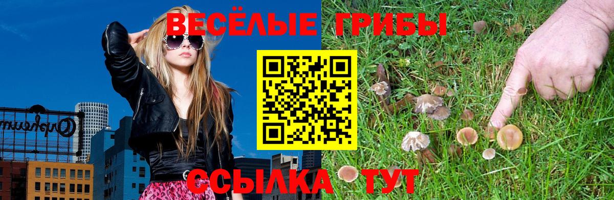 Богородск  Псилоцибиновые грибы Cubensis  Вход с VPN 